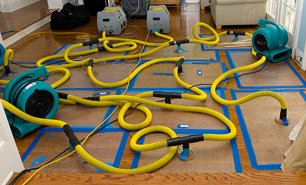 Professional Flood Damage Restoration technician working in Pigeon Forge, TN